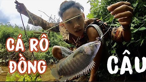 đi Câu cá suối và cái kết bất ngờ  🙀