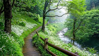картинка: Музыка доброты 🌿 Мелодии, наполняющие миром и душевным теплом.