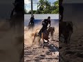 BETINHO BOI COM SEU PAI BETO BOI, SOMA DISPUTA FINAL DO DERBY NO RANCHO 3 MARIAS 🐎PRÍNCESA ETERNA 🐎
