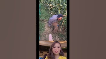 Thumbnail of Nhanh nhanh #music #love #song #coversong #singersongwriter #duet #trump #funny