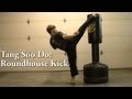 Tang Soo Do: Roundhouse Kick Tutorial