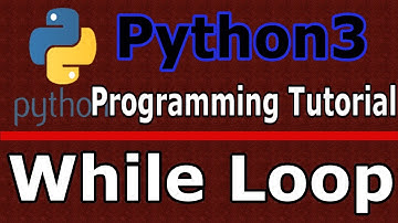 Python3 Programming Creating While Loop #8