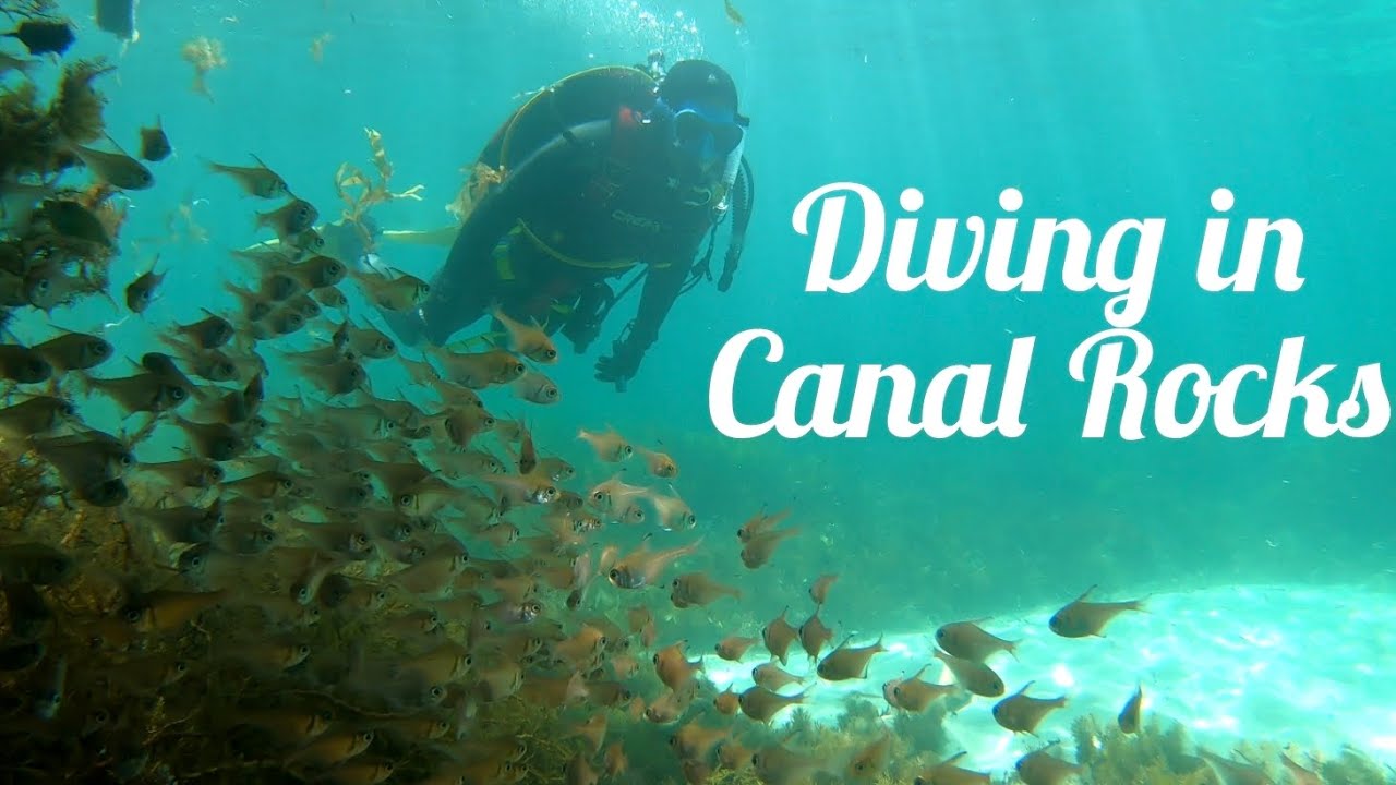 Diving in Canal Rocks( Western Australia)