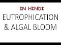 Eutrophication, Algal Bloom, Biological/Chemical Oxygen Demand & Water Pollution Types (In Hindi)