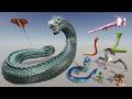How BIG are Snake &amp; Serpent Monsters - Size Comparison 3D