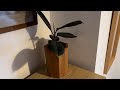 I Made a Fancy Plant Pot to Impress My Houseplant