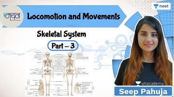 Locomotion and Movements | Skeletal System | L3 | NEET 2022/23 | Seep Pahuja
