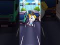 Polar Bear Angela Tom Gold Run