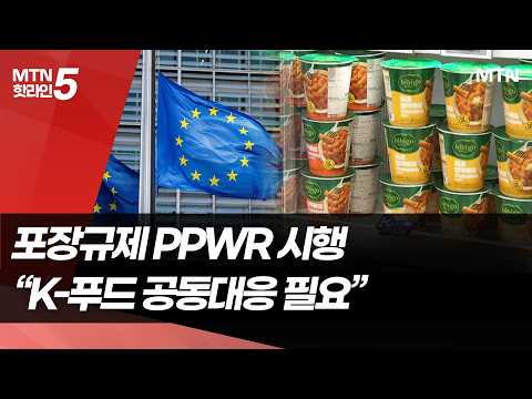 유럽 PPWR 오늘 시행…식품업계 긴장 "자칫 리콜 당할라" / 머니투데이방송 (뉴스)