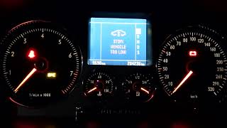 VW Phaeton V8 cold start after one week