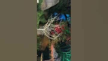 Azad day #manuu  credits : Naseem