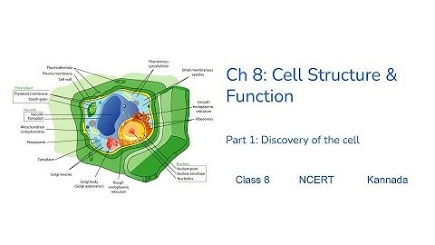 Class8- Science - Chapter8– Cell Structure and Functions - Part01 - Discovery of Cell#NCERT #Kannada