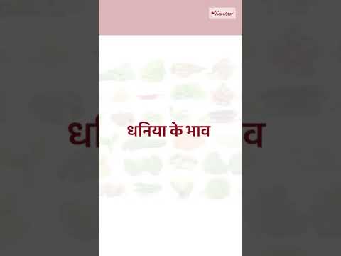 जानिए आपके क्षेत्र का उचित मंडी भाव!  - जानिए आपके क्षेत्र का उचित मंडी भाव! 
