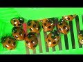 #6 てんとう虫 | Ladybug | божья коровка