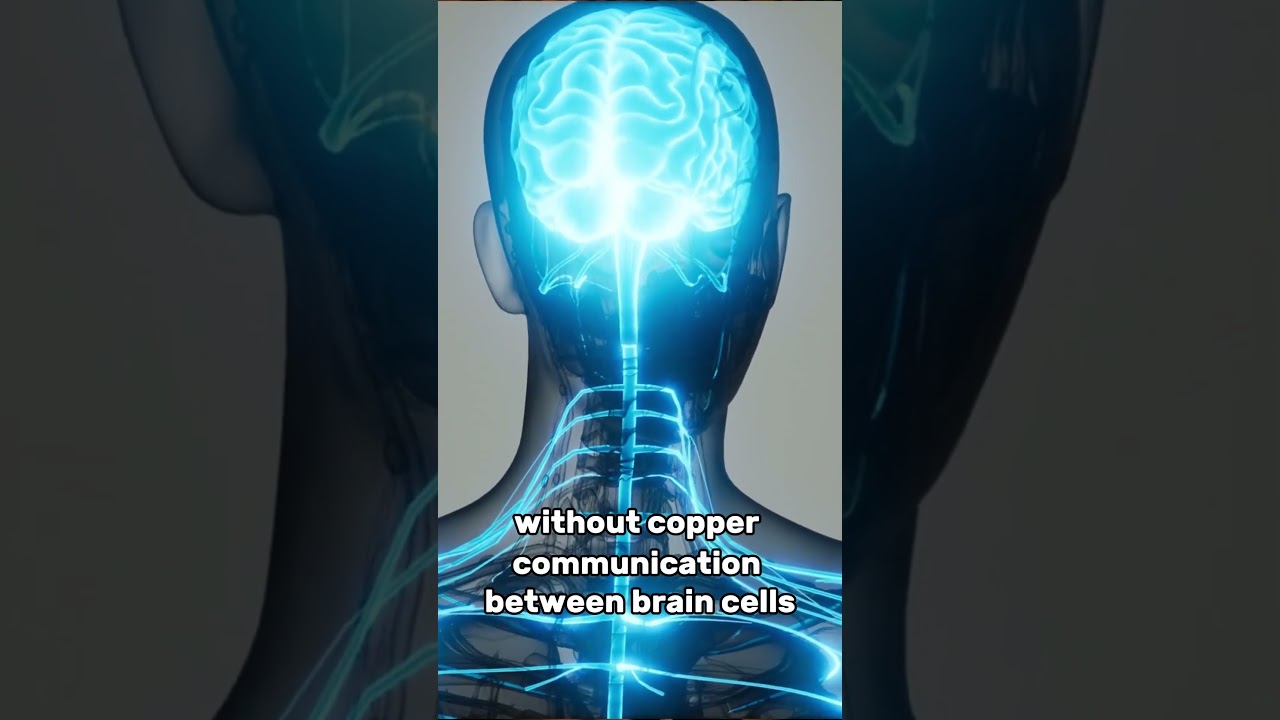 The role of copper in our brain