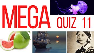 BEST ULTIMATE MEGA TRIVIA QUIZ GAME |  #11 | 100 General knowledge Questions and answers screenshot 3