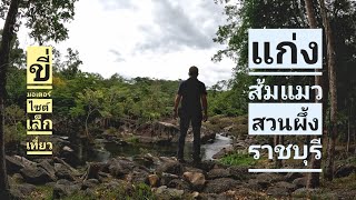 แก่งส้มแมว -สวนผึ้ง ราชบุรี [Suan Phueng-Ratchaburi] Ep.47