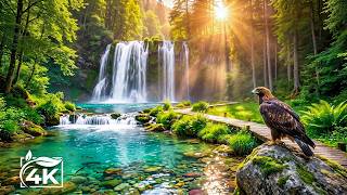 Gentle Relaxing Music 🌿 Soothing Piano Music Helps Heal the Soul, Balance Emotions #20 screenshot 5