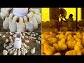 How to prepare your chicken quickly at Chichen Farm | YO YO Amrohi