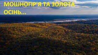 Мошногірський кряж та золота осінь вид з висоти. Пейзажі вздовж хребта з графської дороги.