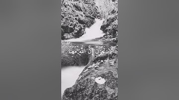 سورة التوبة / الآية 40