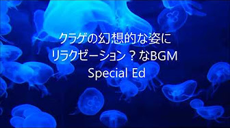 メジャー 最終回 Youtube