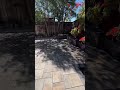 Backyard Remodel Transformation | Outdoor Living Space Upgrade | MAV Design & Build