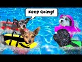 Giving Best Friends Dogs Swimming Lessons for the First Time! | Pawzam Dogs