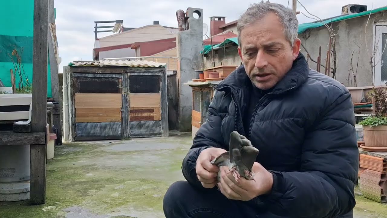 Kara çakmaklıya Kula eş aldım