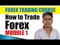 Learn how Forex Magic works. See $5 K turn into $1 Mil in ...