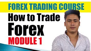 Module 1: How to Trade Forex in the Philippines | Paano Mag Trade sa Forex Tutorial for Beginners Wealth