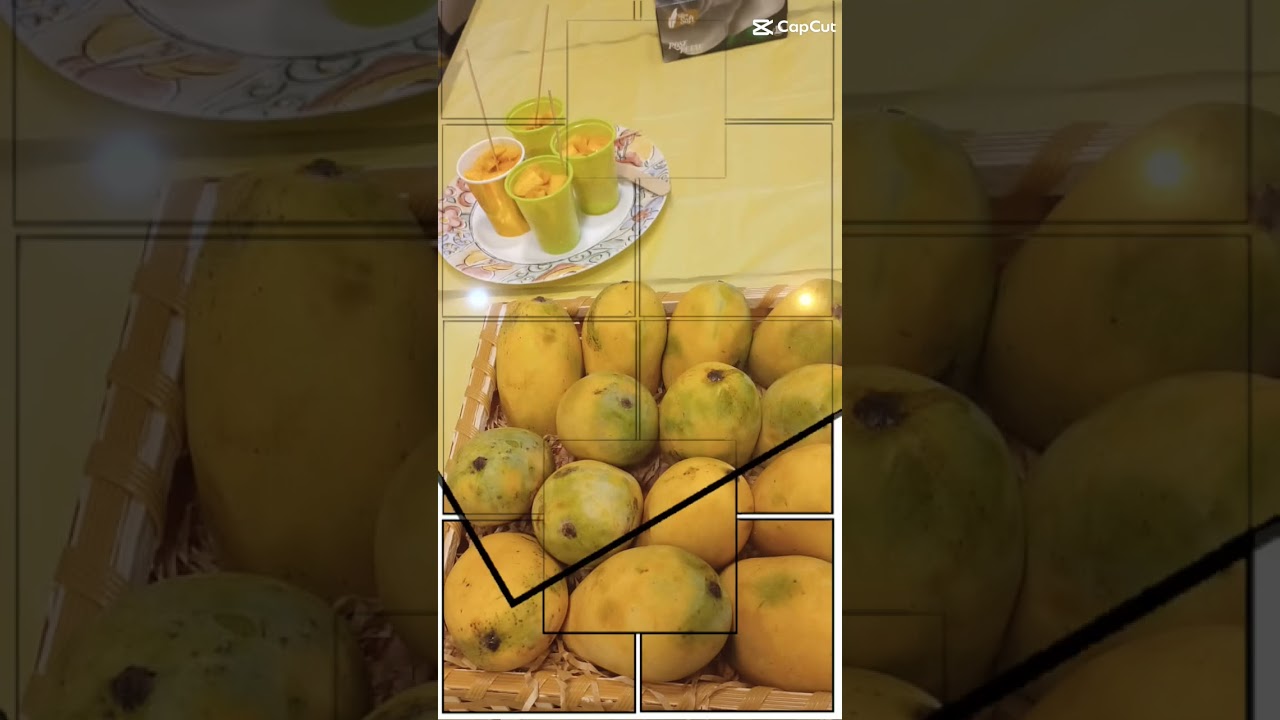 Mango Party trend at office 