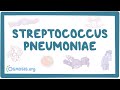 Streptococcus pneumoniae  an osmosis preview