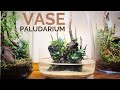 Understanding the care requirements of a Vase Paludarium