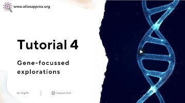 Tutorial 4: Gene-focussed explorations