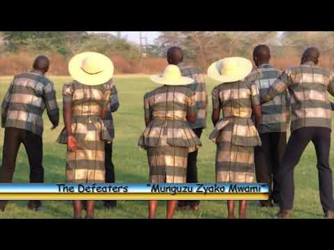 The Defeaters Vol 11