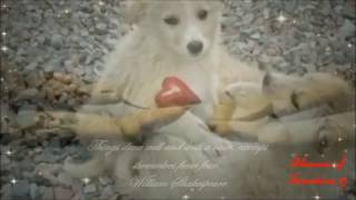 °•ღ Take Care ~ Imany ღ•° screenshot 4