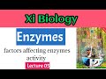Factors affecting enzymes activity sindh board new book ll IBA junior science teacher
