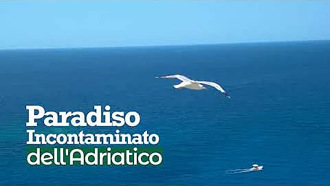 Quali isole si possono raggiungere da Rodi?
