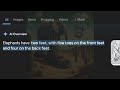 End of video