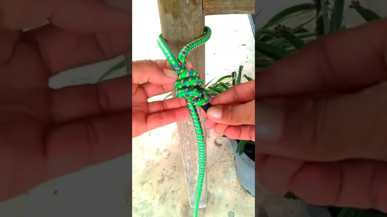 ideas for you. Knot#87