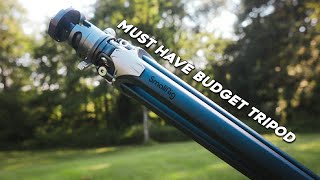 The Best Budget Travel Tripod?! SmallRig AP-01 Review