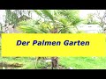 Der Palmen Garten