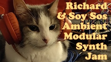 Richard and Soy Sos Live Modular Synth Chat and Performance