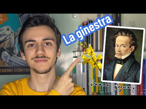 Video: Perché si chiama ginestra?