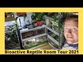 Bioactive reptile room tour 2021  northern exotics