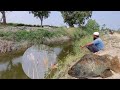 Back to back fishes in deep pondsfisher man catching tilapiafishes fishing in small single hook 