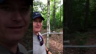 Where Does REAL Maple Syrup Come From? #shorts #harvesthosts @morsefarm