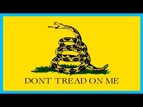 BANDERA DE GADSDEN | DON&rsquo;T TREAD ON ME