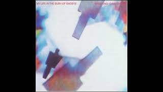 Brian Eno and David Byrne ~ 09 A Secret Life